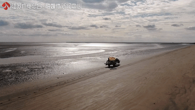 江苏竟藏着这么一个黄金海滩！还去什么马尔代夫