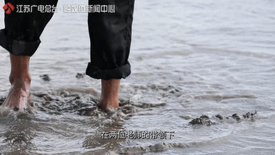 江苏竟藏着这么一个黄金海滩！还去什么马尔代夫