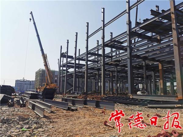 从原材料、中间体到成品药 津市打通生物医药全产业链