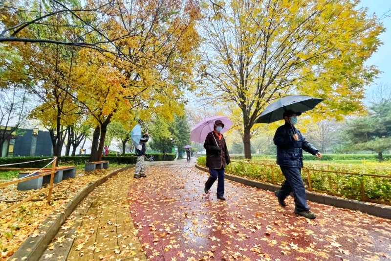 [升级]暴雪预警升级为橙色！这些地区将受影响 短期不会明显回暖