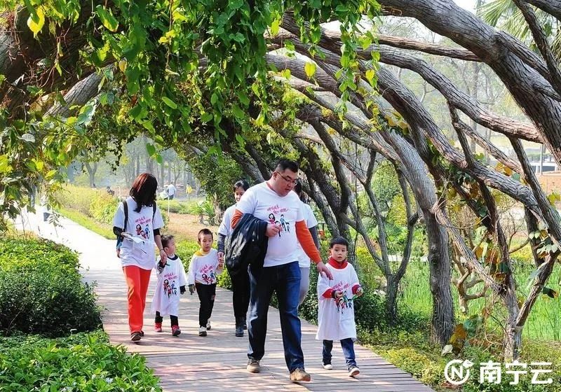 一起来一场南宁市中医药健康之旅吧！在行走中增长见识