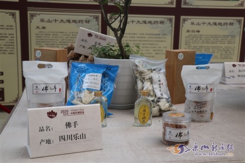 乐山坚持传承创新 推动中医药事业发展