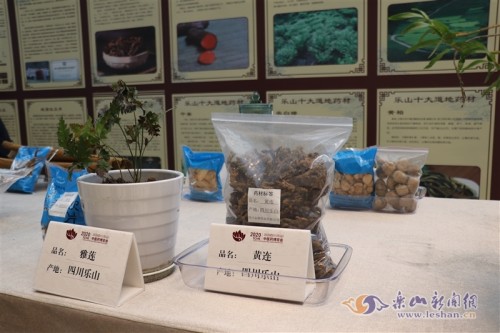 乐山坚持传承创新 推动中医药事业发展