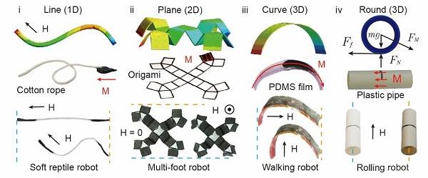 �й�������Ա�з������������ɿ�������΢�ʹſػ�����