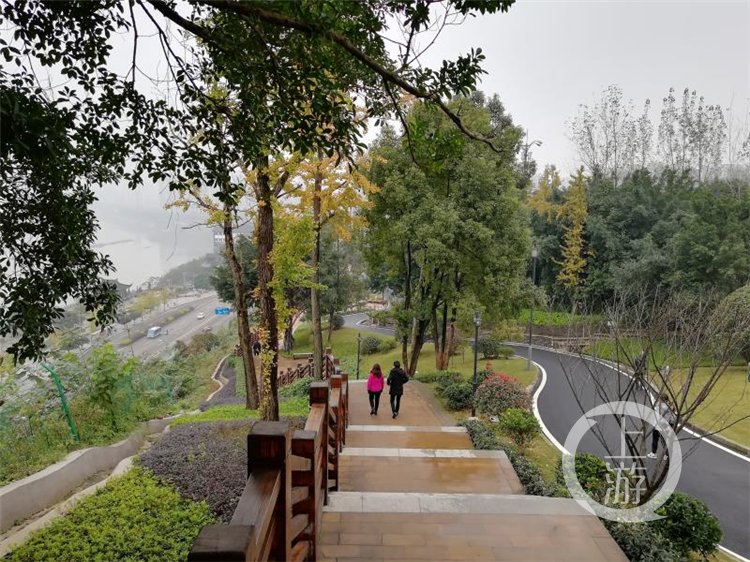 发现重庆之美丨山城“挂毯”记：看“最美坡坎崖”如何扮靓城市