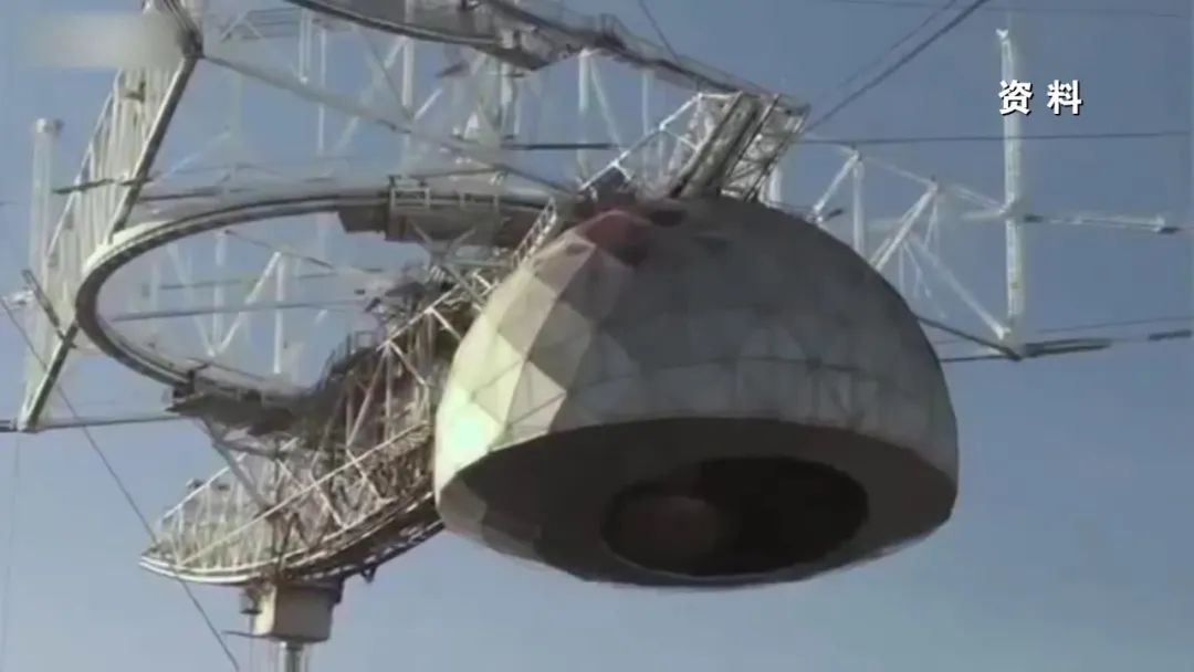 ���������ۡ����ϣ�����ֻʣ�й�һֻ�����ۡ�