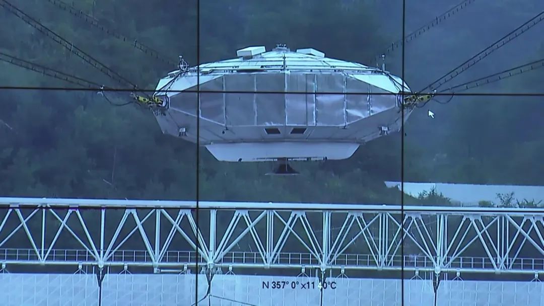 ���������ۡ����ϣ�����ֻʣ�й�һֻ�����ۡ�