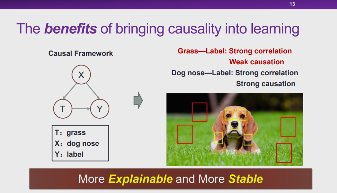 清华大学崔鹏：探索因果推理和机器学习的共同基础