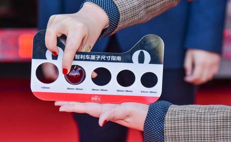 Chile car a unit of weight child head the boat arrives at China to open ark: Chile worker nucleic acid detects whole sealing of mount guard orchard, 3J exceeds big fruit to be less than 40 yuan / jin