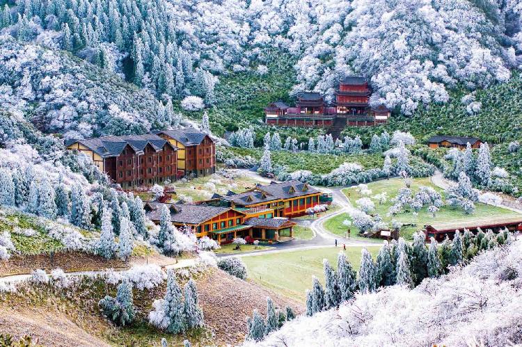 想去金佛山赏雪滑雪？这份冬游攻略请收好