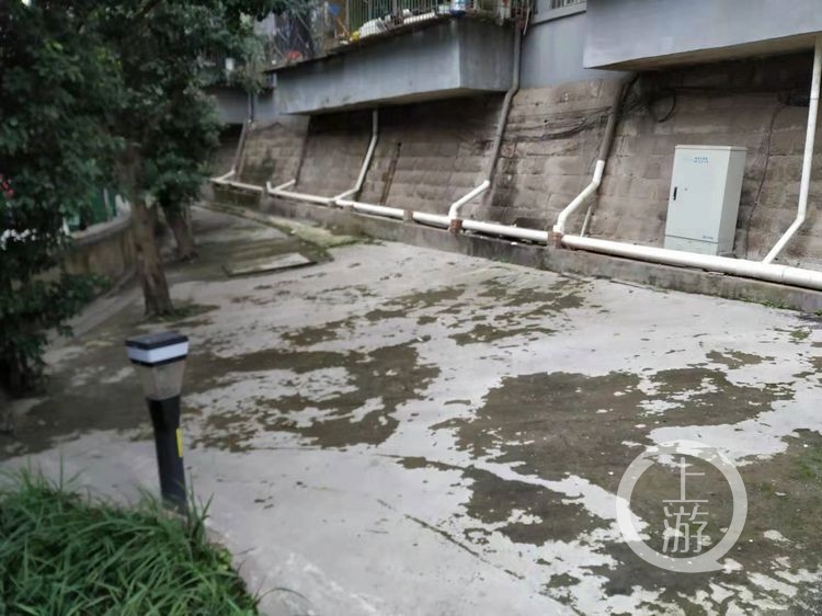 社区成立物业服务站 这个老旧小区的边角地提档升级变游园