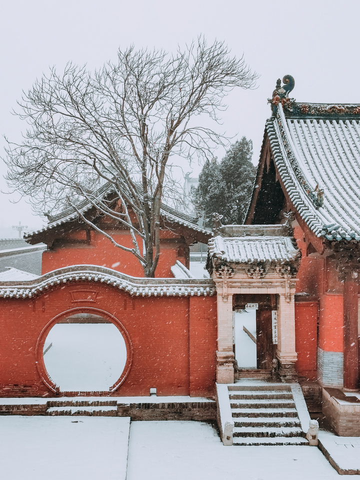 "Follow a heart and photograph " -- 2020 of mine