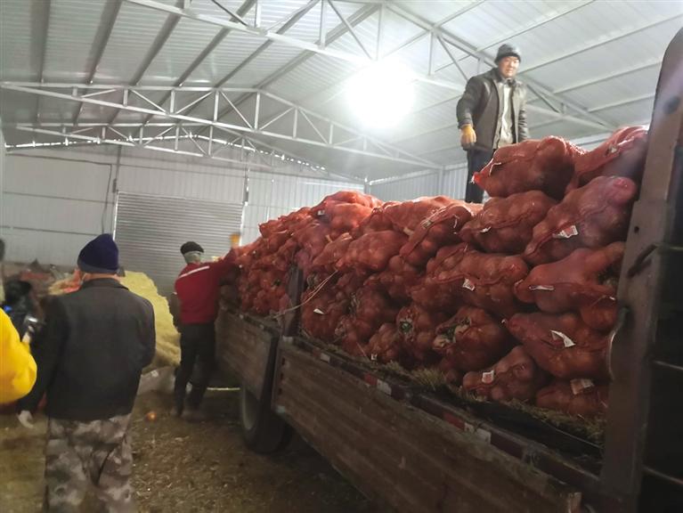 开网店2个月“拼”出销量10万+ 依托电商平台 酒泉洋葱热销全国