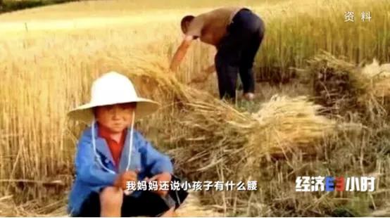 千億大商機(jī)！養(yǎng)魚不換水，種菜不施肥！這套技術(shù)太驚艷→