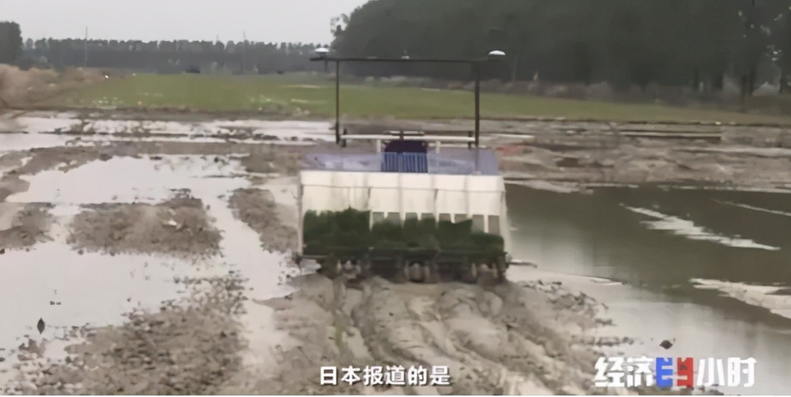 千億大商機(jī)！養(yǎng)魚不換水，種菜不施肥！這套技術(shù)太驚艷→