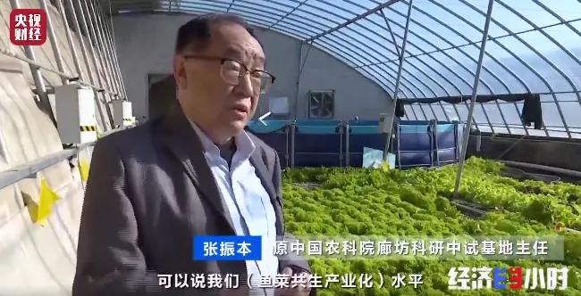 千億大商機(jī)！養(yǎng)魚不換水，種菜不施肥！這套技術(shù)太驚艷→