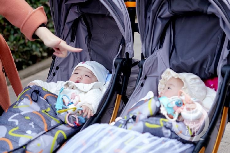 腊梅花开、阳光明媚，市民奔向鸿恩寺公园打卡