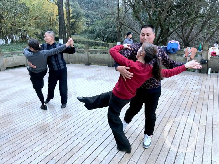 腊梅花开、阳光明媚，市民奔向鸿恩寺公园打卡