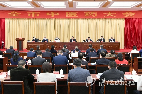全力创建国家中医药综合改革试验区示范市 加快推动湛江中医药传承创新高质量发展