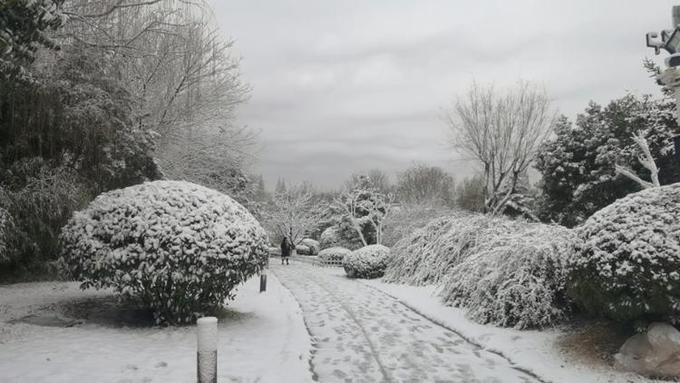 Snow hind is big bright lake, often abandon the wording and purpose of what one writes " the winter of Jinan " the most beautiful model came