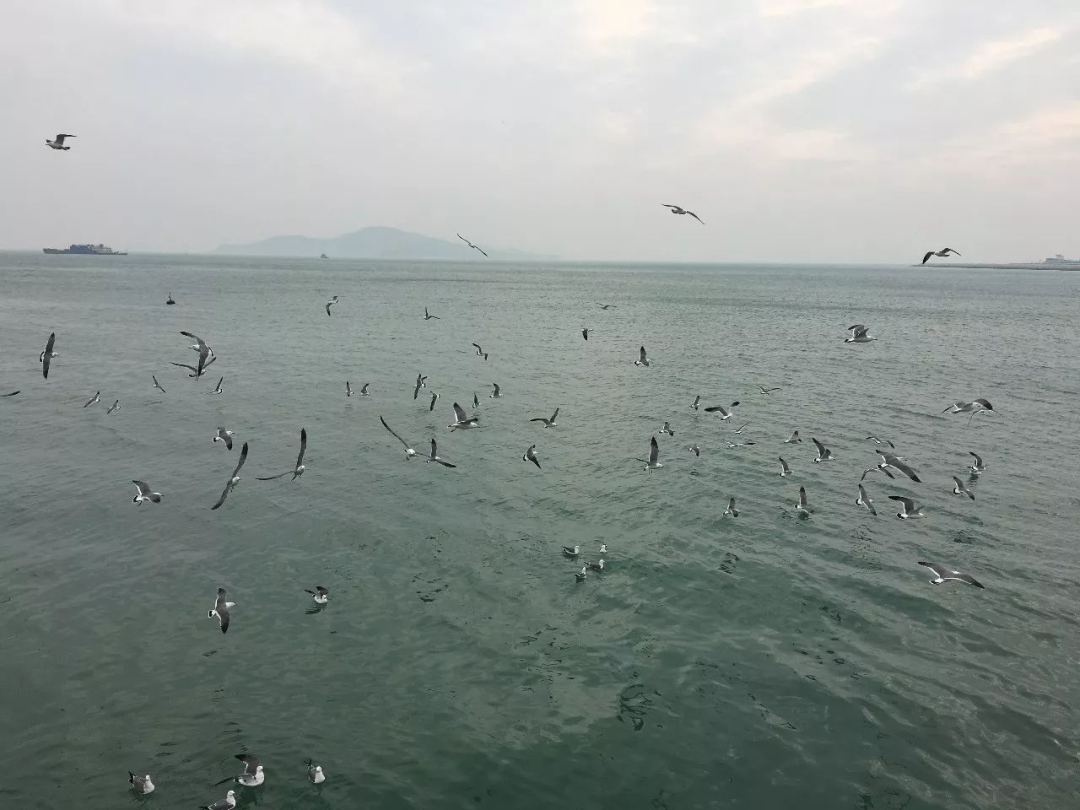 With this piece of photograph, leave 2020