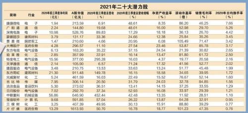2021买啥？这二十大潜力股值得收藏