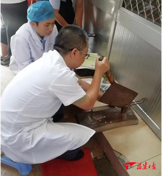 漳州：推动中药传承创新 让老手艺重获新生