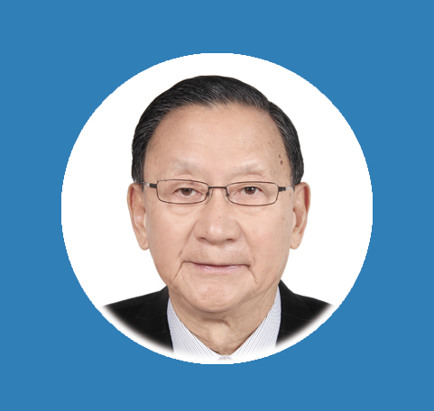 汪集暘庞忠和刘中民李灿邹才能马隆龙姜克隽