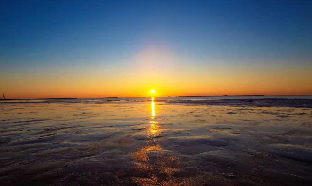 31ʡĸݶӡʯīϩҵѳɣݱú͸