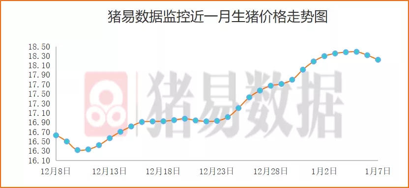 猪价呈现大部下跌，跌势由销区传向产区