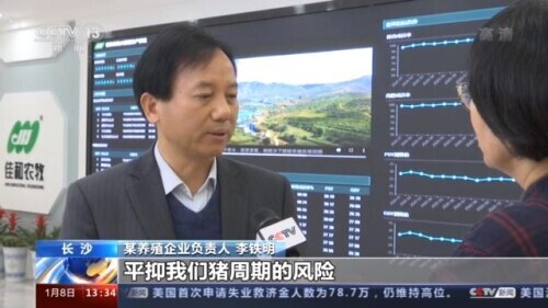 Hog futures appears on the market in Dalian Commodity Exchange today conduce to stablize " the pig is periodic " risk