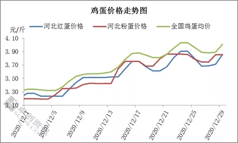 12月份河北省蛋鸡市场概述