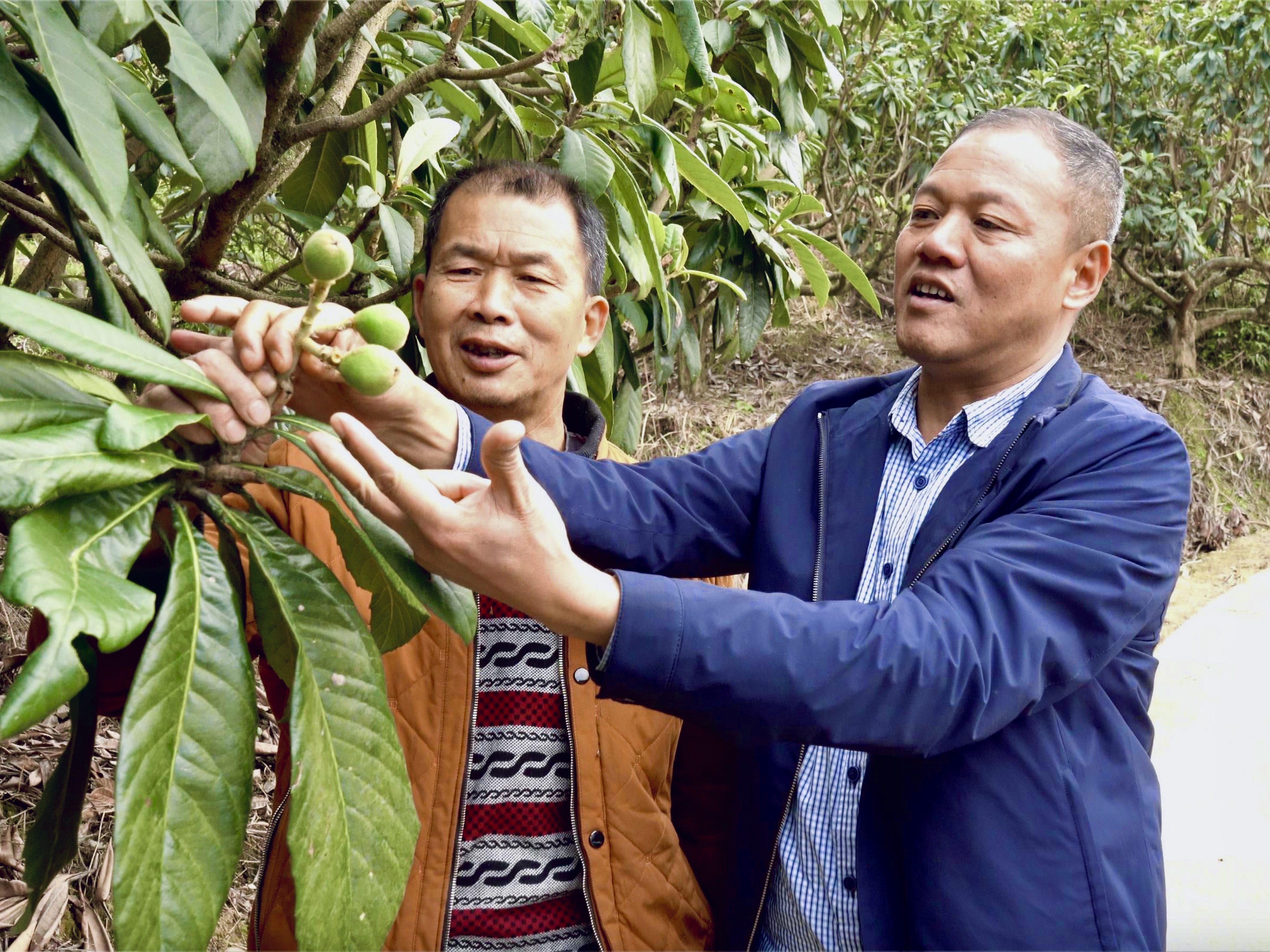 “花果山”步履不停的“行者”支书