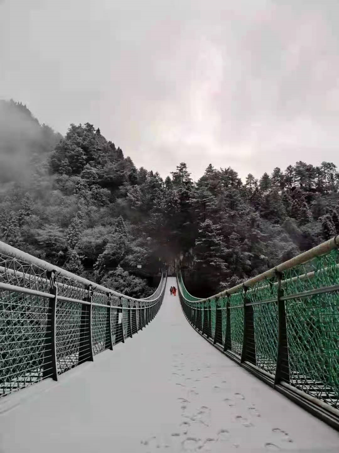 2021年第一场雪来了贵州各地雪景实拍图实在太美了