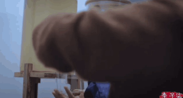 More than pickle, korean say dried persimmon also is them...