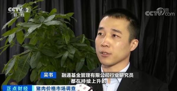 Consumption is pulled move countrywide pork price to rise continuously