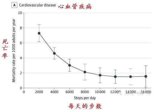 同样是走路，有人走出长寿，有人走废膝盖！每天怎样走最好？