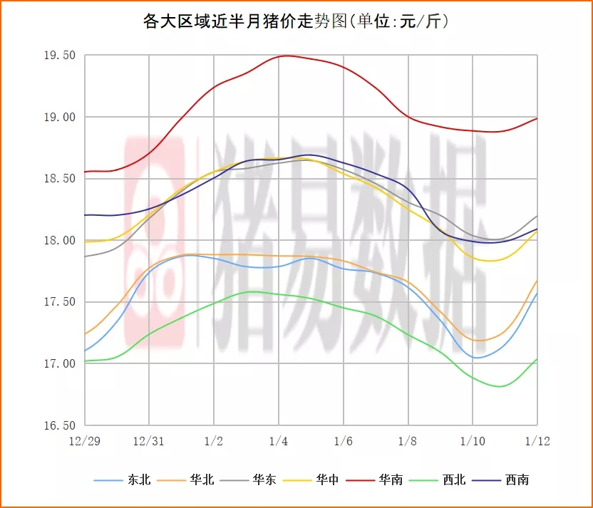 猪价呈现全面上涨，不少北方猪企涨幅达1.0元/公斤