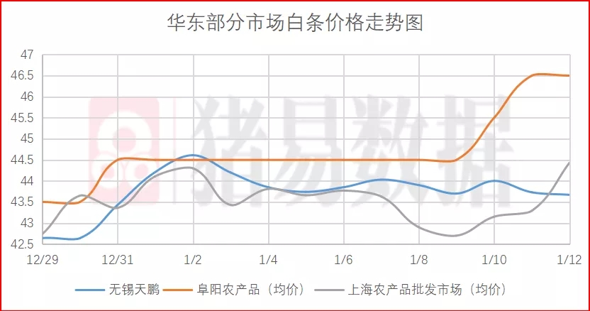 猪价呈现全面上涨，不少北方猪企涨幅达1.0元/公斤