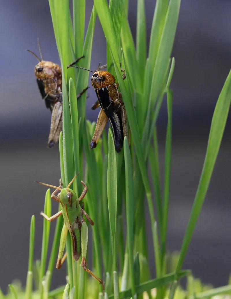 前沿 | 中国生命科学十大进展揭晓！两项新冠病毒研究入选