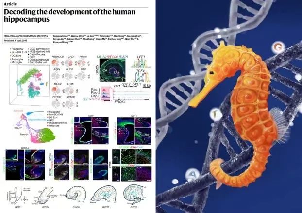 前沿 | 中国生命科学十大进展揭晓！两项新冠病毒研究入选
