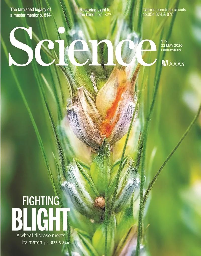 前沿 | 中国生命科学十大进展揭晓！两项新冠病毒研究入选