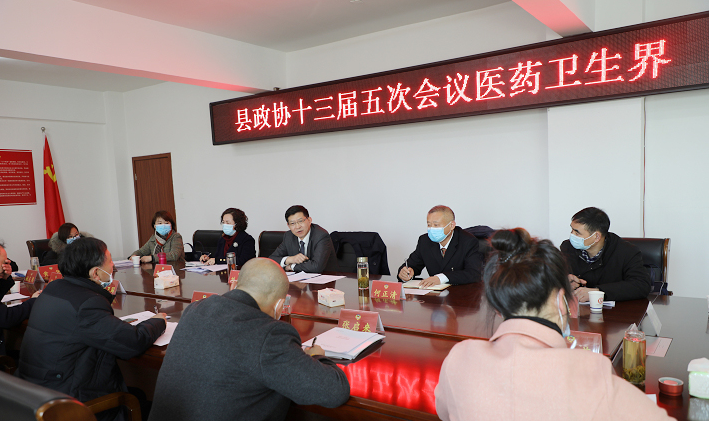 刘亚东参加枞阳县政协医药卫生界别分组讨论