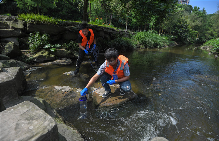 卫生、环保……这些你关心的事 重庆已落实良法善治