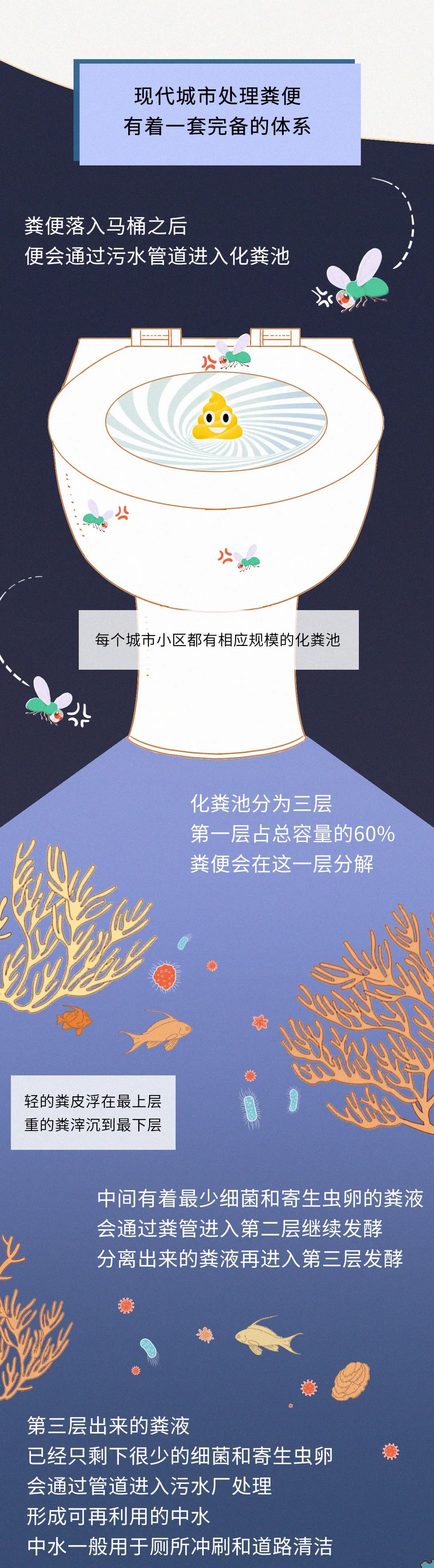 揭秘丨我們拉出來(lái)的便便都到哪里去了？