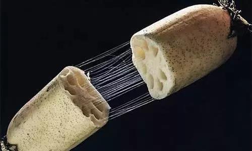 �ܡ�ź��˿�������� �й���ѧ���Ƴ����ͷ�����������