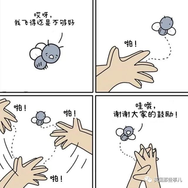 歪果网友分享年度最暖心治愈的梗图，看完感觉心情大好