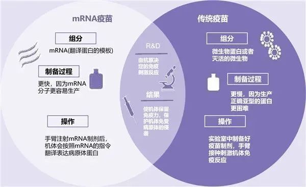 多国政要纷纷带头接种，中国疫苗“圈粉”无数