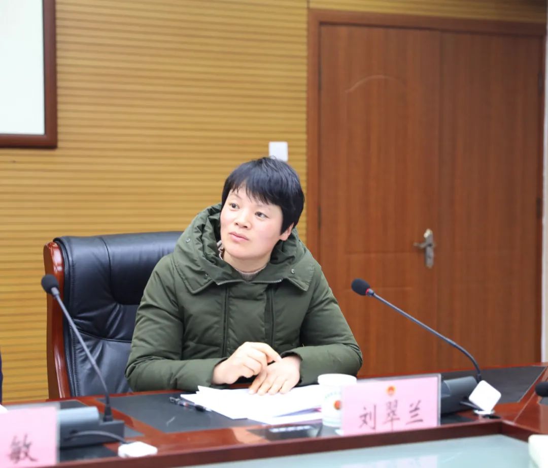 <第3039期>【喜迎省两会】阜阳 | 代表委员：从四个方面为检察献言献策
