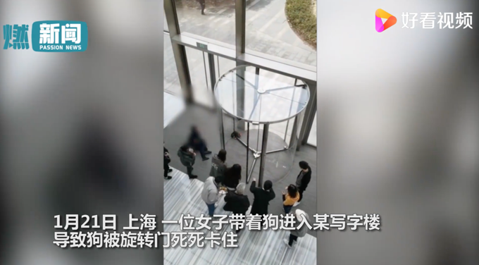 寵物狗被卡旋轉(zhuǎn)門女子倒地哭喊!物業(yè)無奈拆門:違規(guī)進(jìn)入還不牽繩